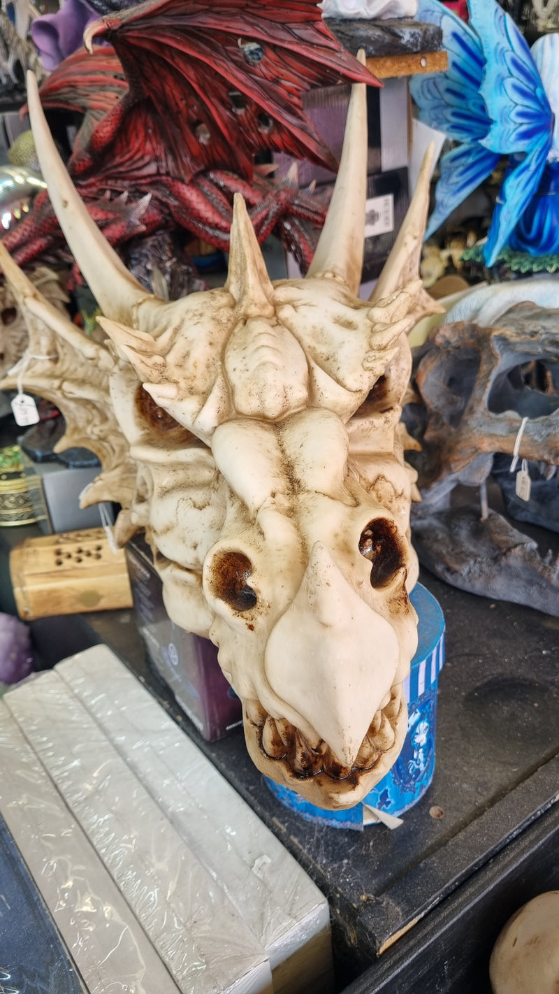 THE LAST DRAGON SKULL 32CM.