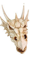 THE LAST DRAGON SKULL 32CM.