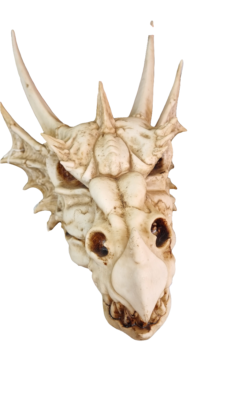 THE LAST DRAGON SKULL 32CM.