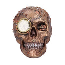 SCRAPPED 19CM SKULL.