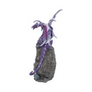 Amethyst Custodian 22 cm:Dragon.