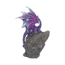 Amethyst Custodian 22 cm:Dragon.