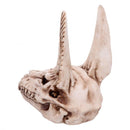 Anubis Skull 17 cm.
