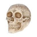 Astrological Skull (20cm)