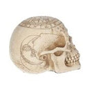 Astrological Skull (20cm)