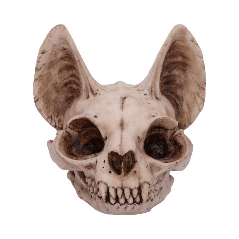 Bastet's Secret 15cm Skull.