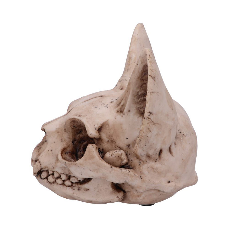 Bastet's Secret 15cm Skull.