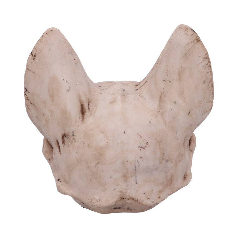 Bastet's Secret 15cm Skull.