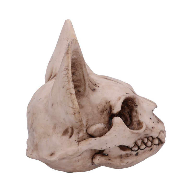 Bastet's Secret 15cm Skull.