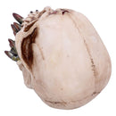 Bite the Bullet Skull.