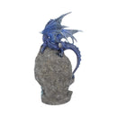 Cobalt Custodian 23 cm:Dragon.