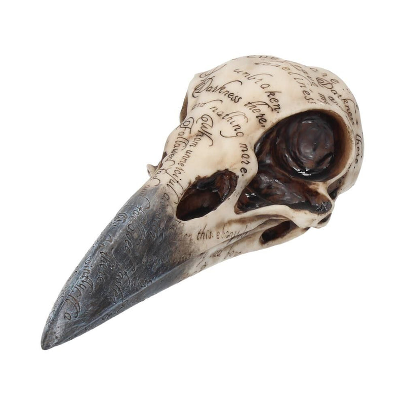 Edgar's Raven Skull 21cm