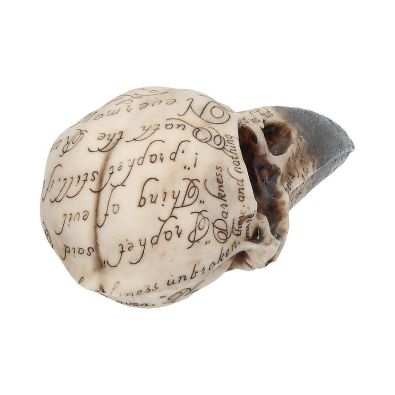 Edgar's Raven Skull 21cm