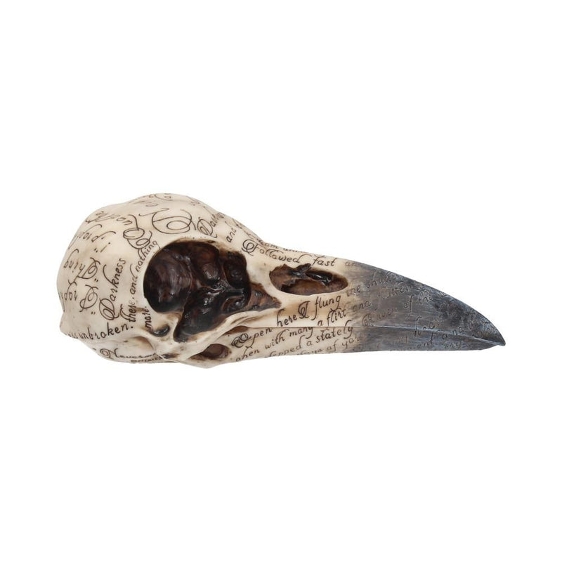 Edgar's Raven Skull 21cm