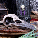 Edgar's Raven Skull 21cm