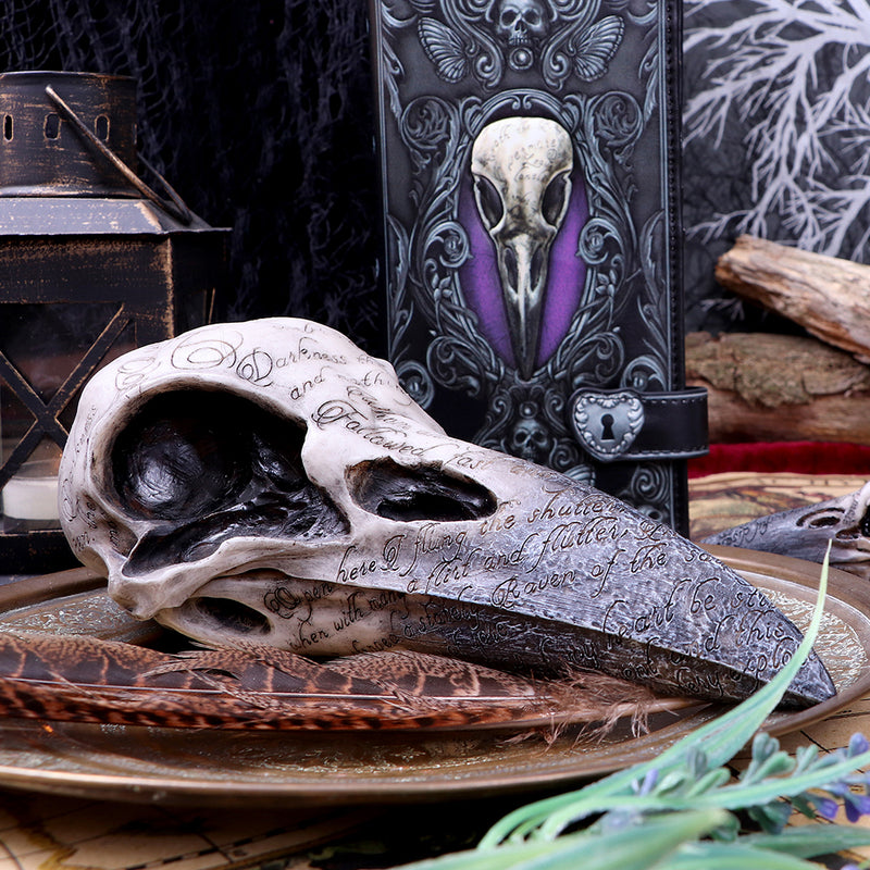 Edgar's Raven Skull 21cm