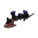 Purrfect Broomstick 27cm