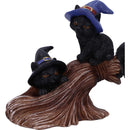Purrfect Broomstick 27cm