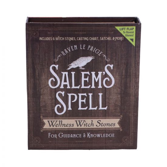 Salem's Spell Kit.