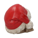 Silent Night 15.5cm-Santa Skull.