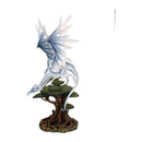 Sapiens. 56 cm:Dragon.