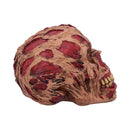 The Hoard 17cm- The Hoard Rotting Zombie Skull Ornament.